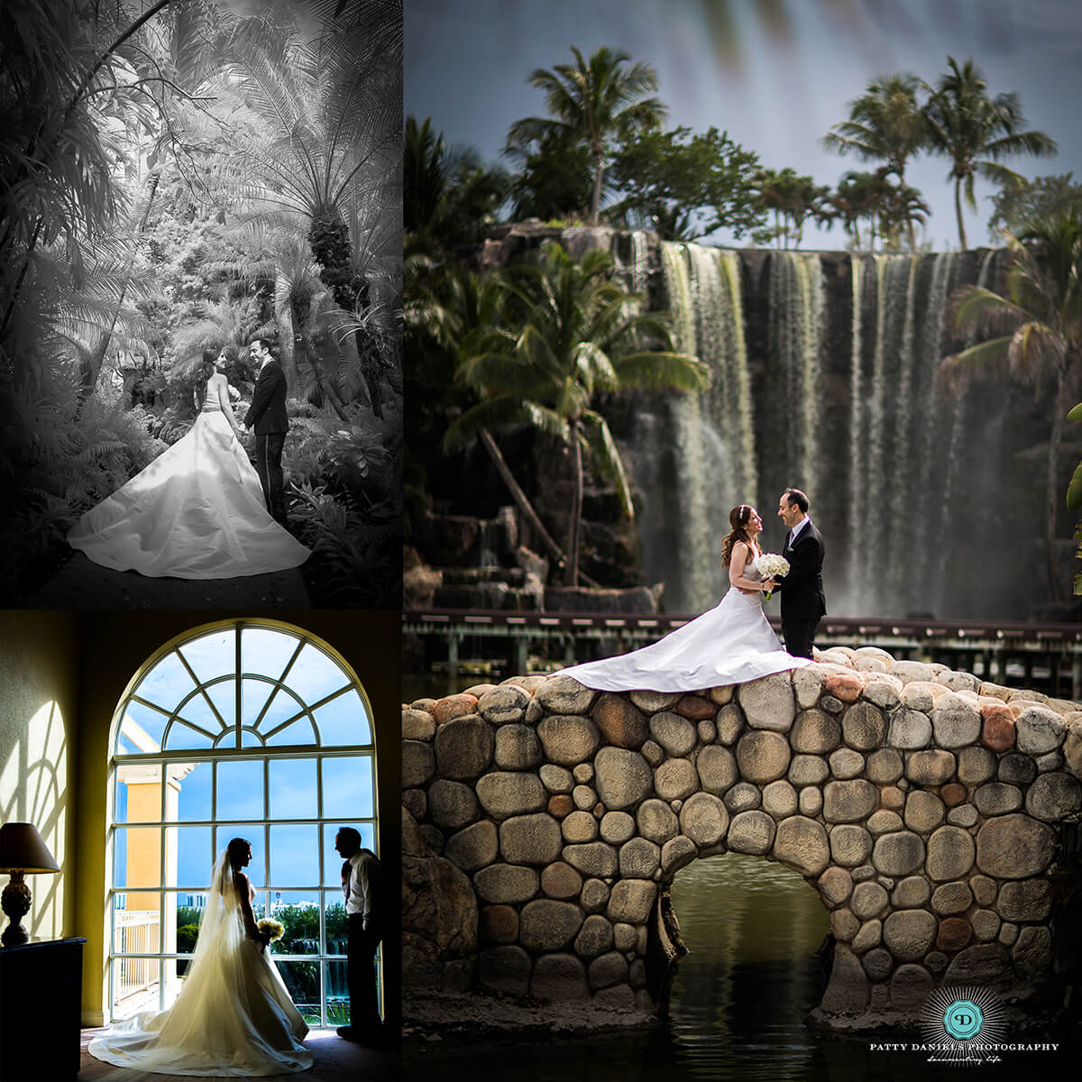 Patty Daniels Florida Photographers Collages